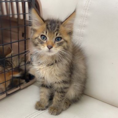 健の写真