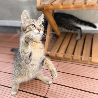 リカの写真