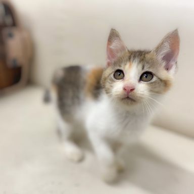 冬の写真