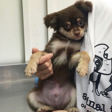 名無しちゃん