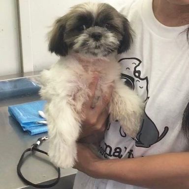 名無しちゃん