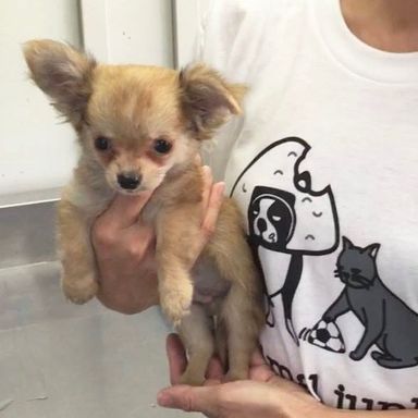 名無しちゃん
