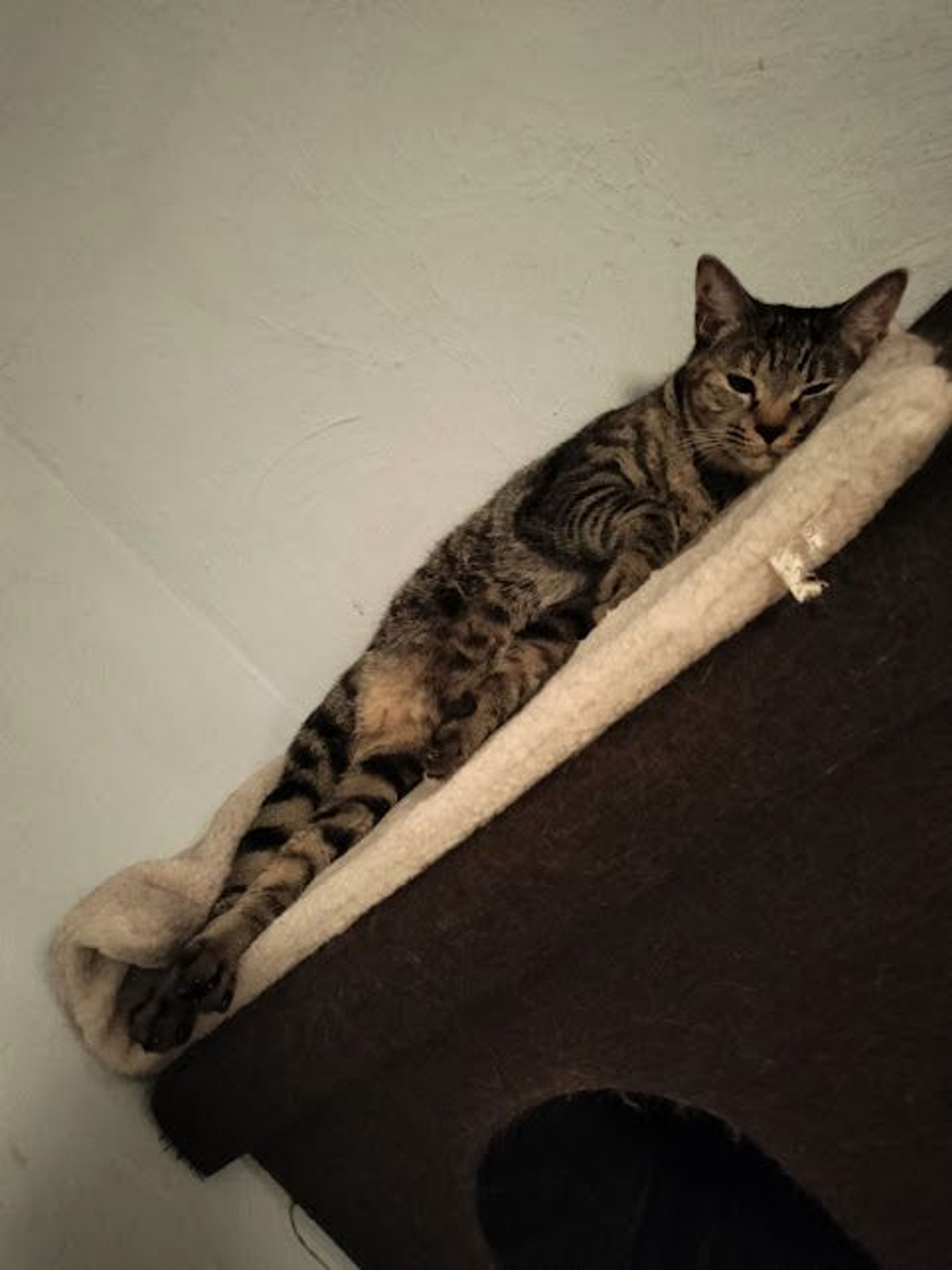 image-6