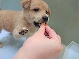 thumb-4