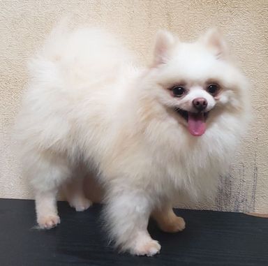 ゆうた