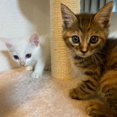 ひめの写真