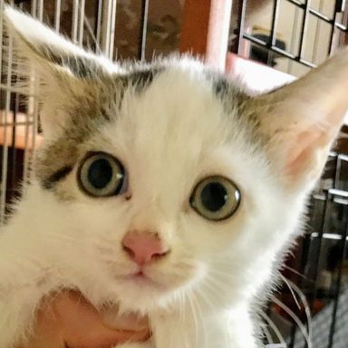 名無しちゃんの写真