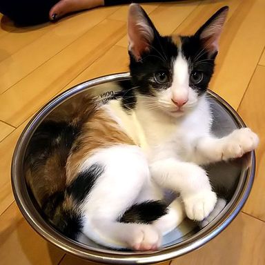 名無しちゃんの写真