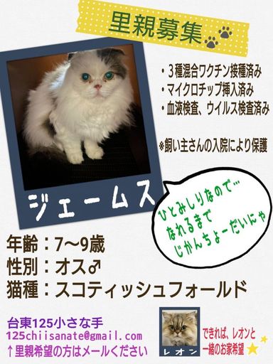 ジェームス