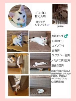 thumb-1