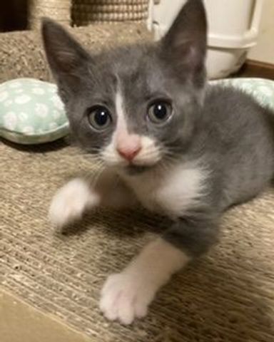 ビアちゃんの写真