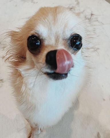 アルバムの写真