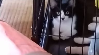陽の写真
