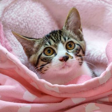 名無しちゃんの写真