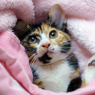 名無しちゃんの写真