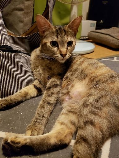 みーの写真