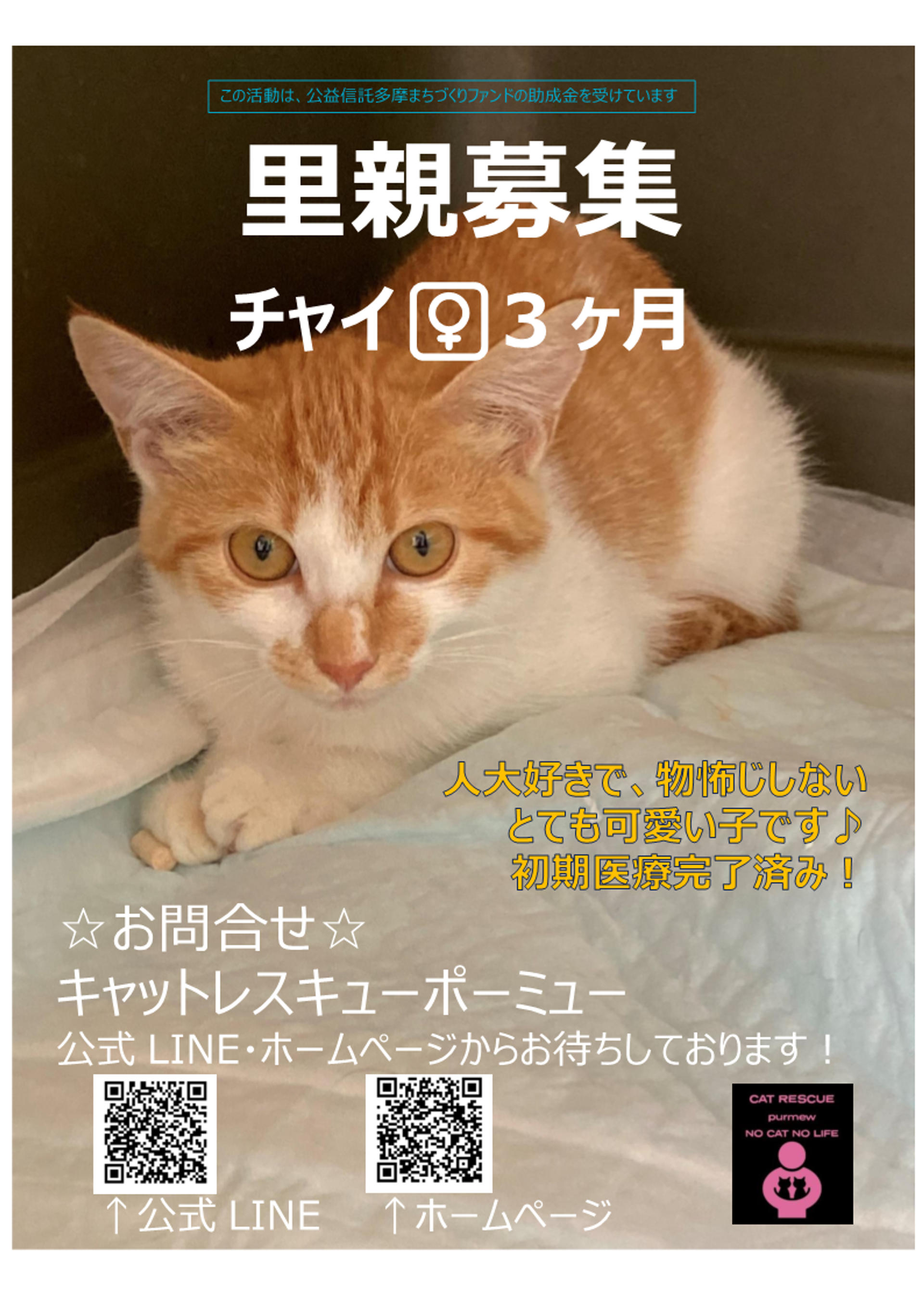 pet-image-9