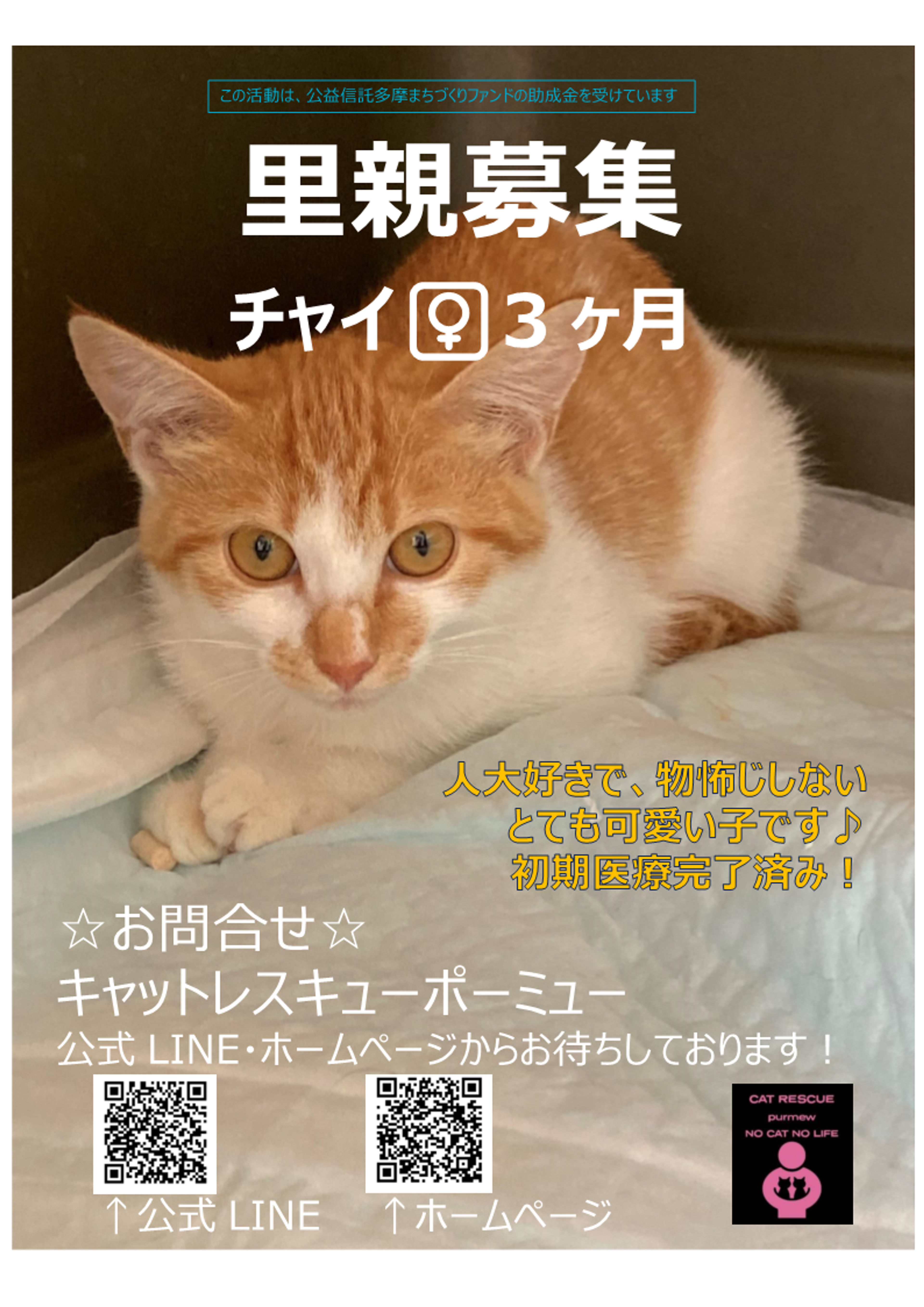 pet-image-9