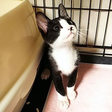 名無しちゃんの写真