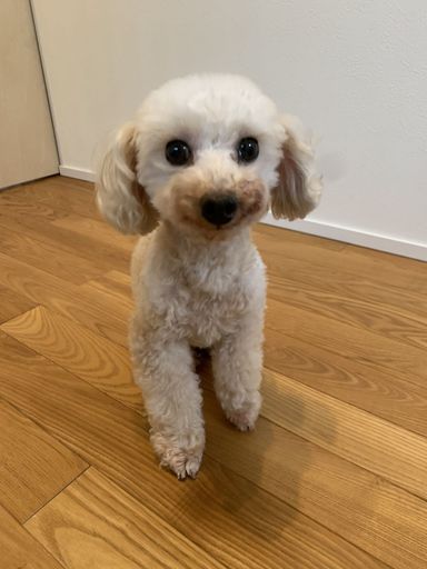 潤