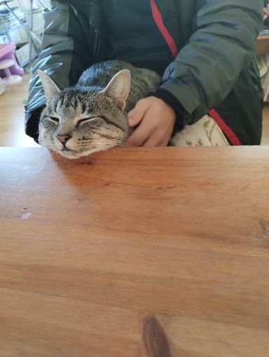 元