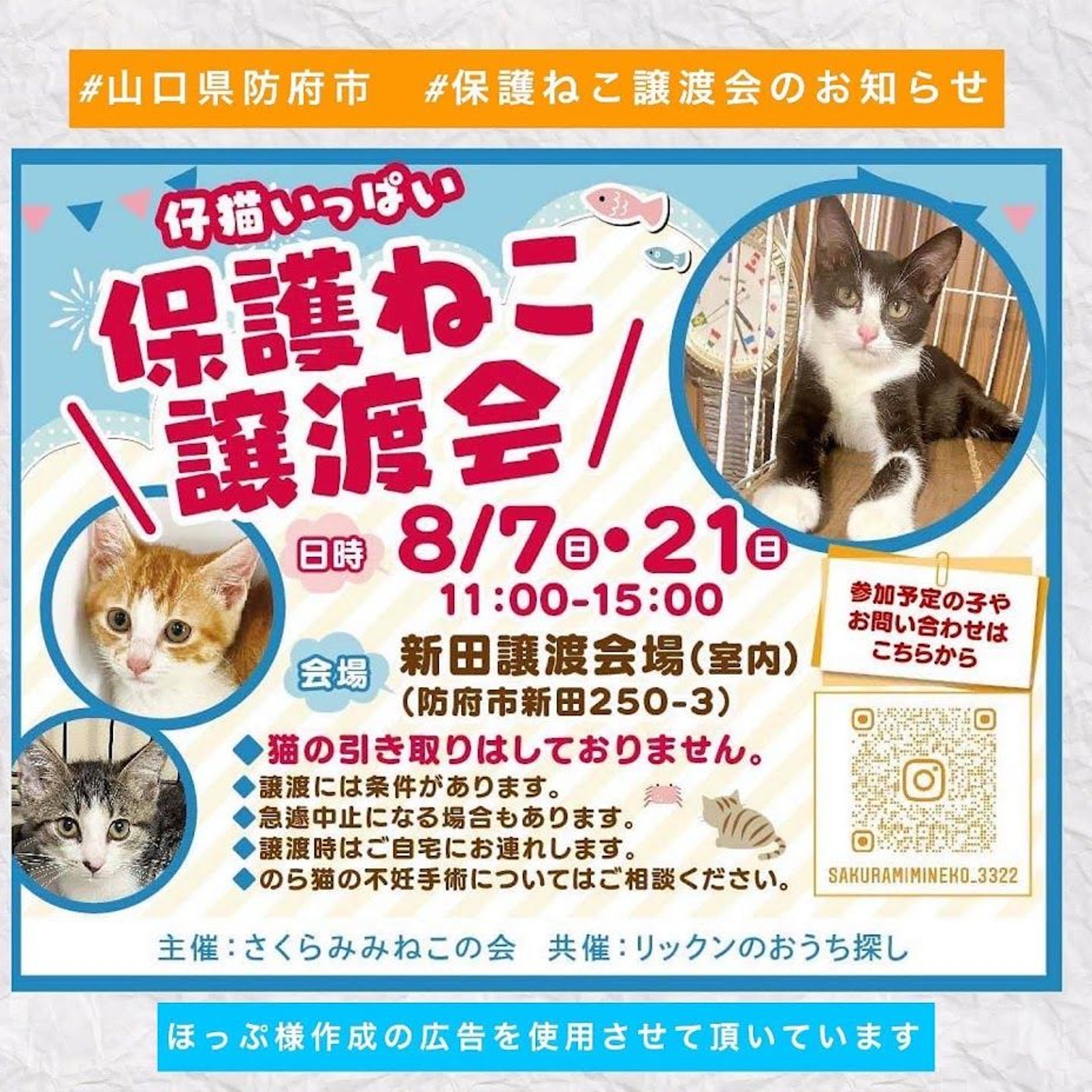 pet-image-6