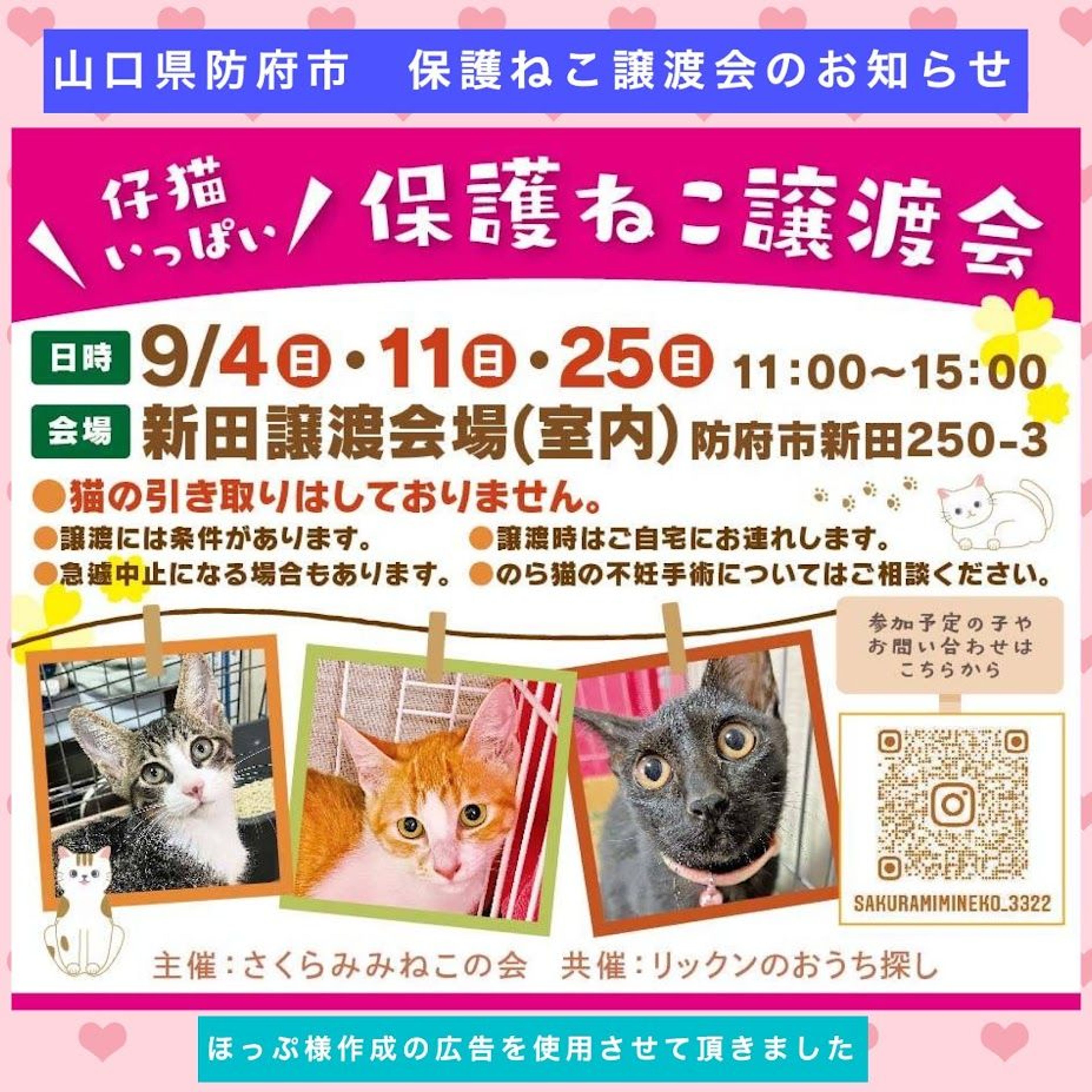 pet-image-6