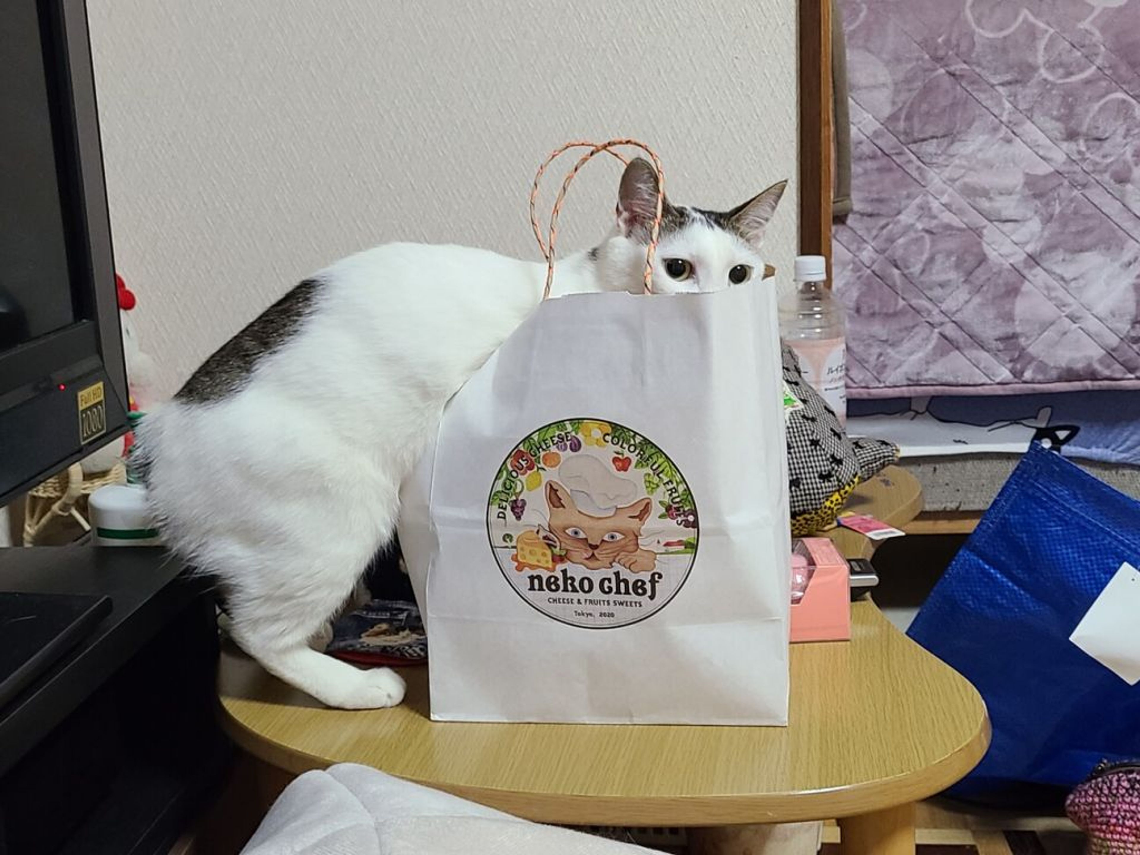 pet-image-3
