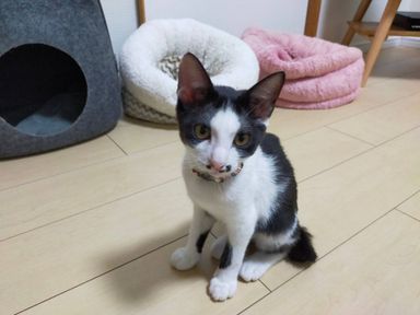 オメガ