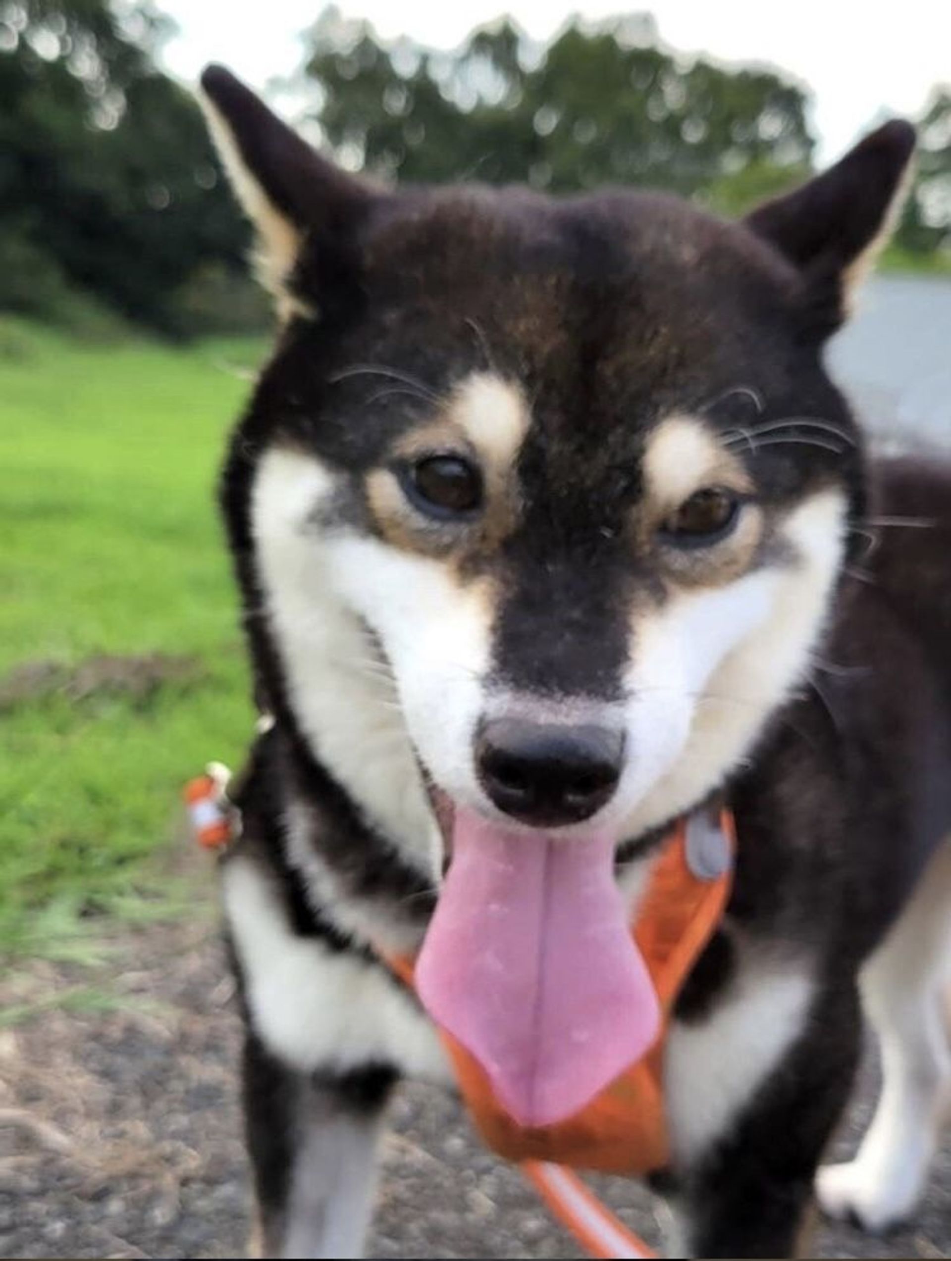 thumbnail-7