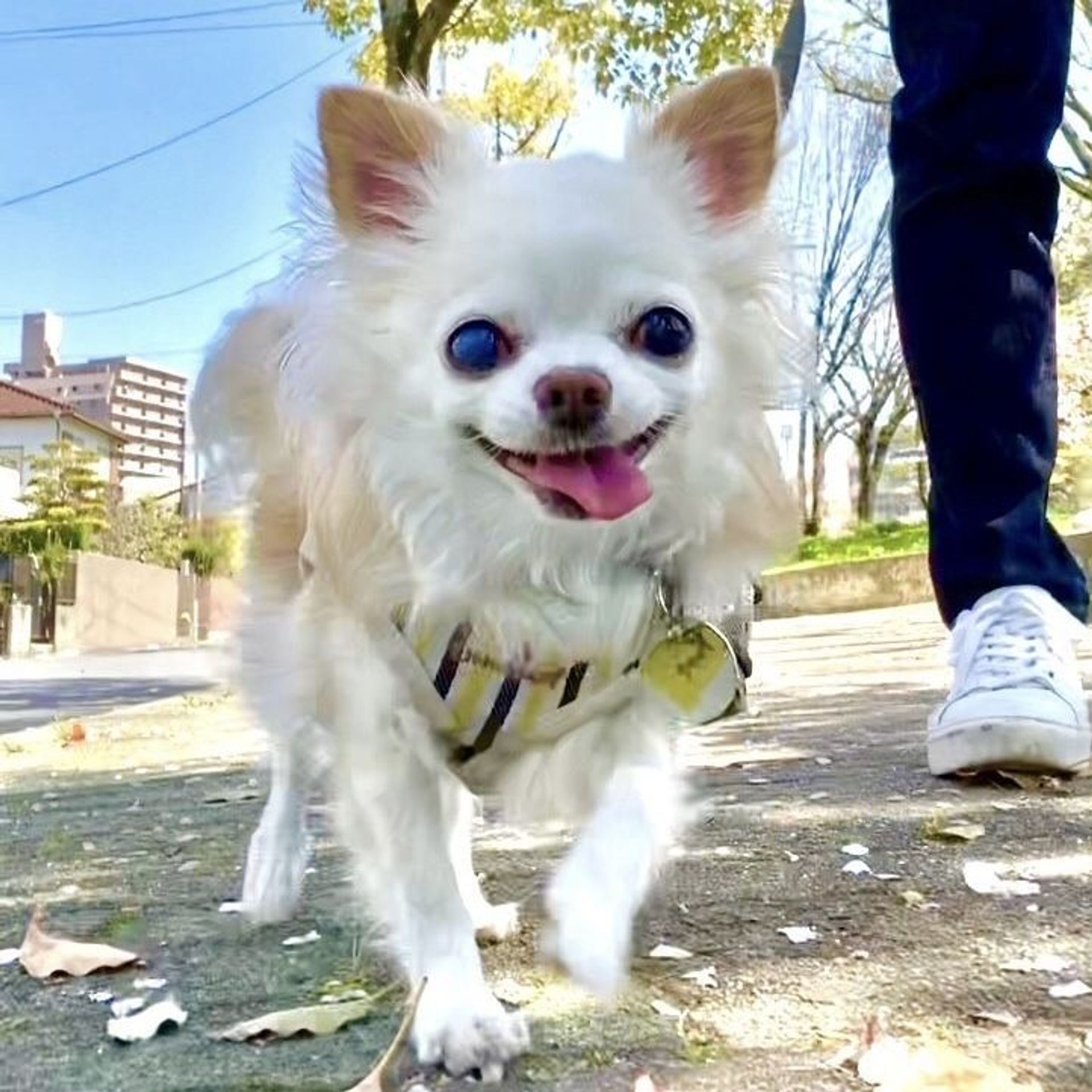 thumbnail-3