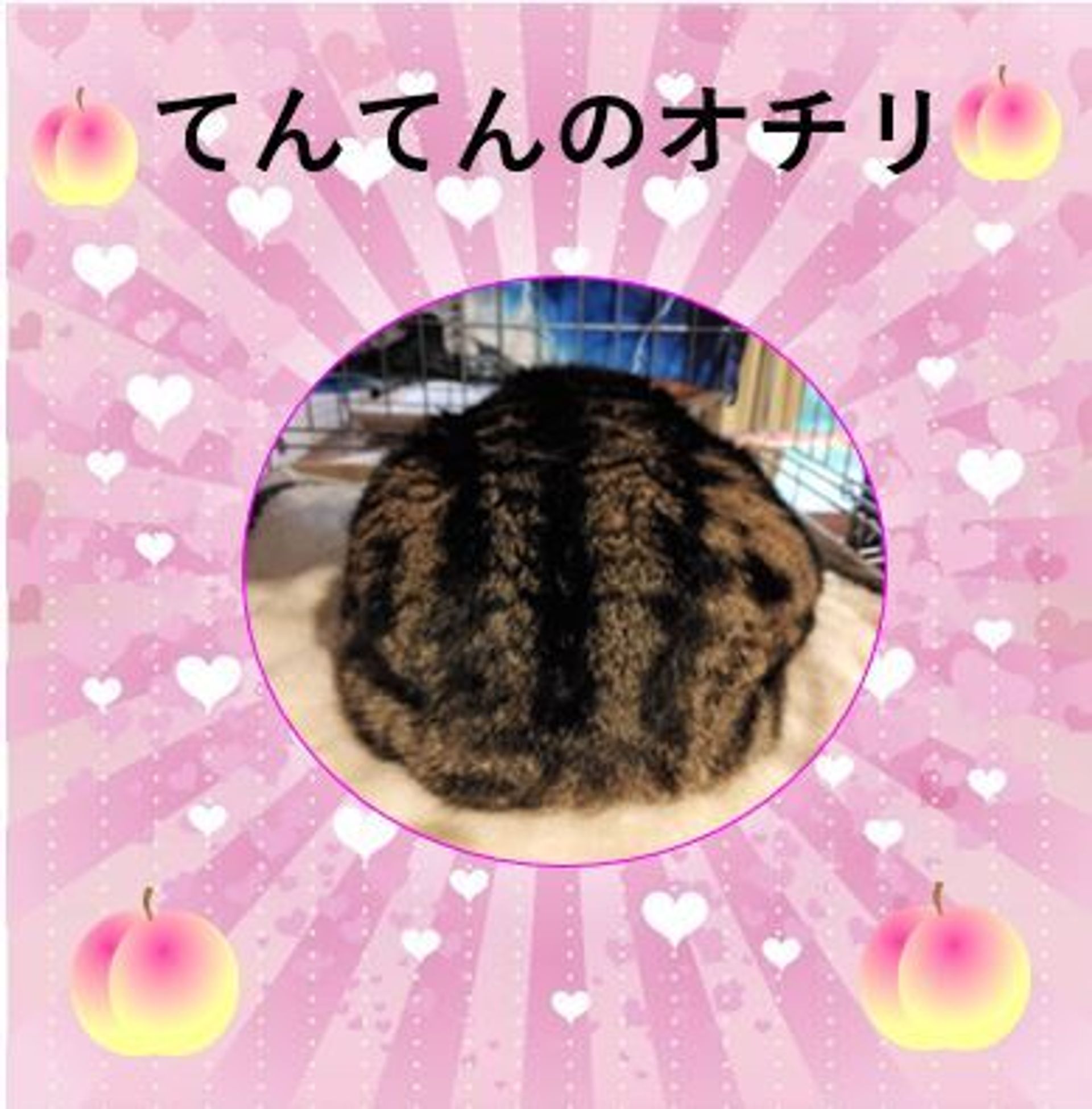 thumbnail-5