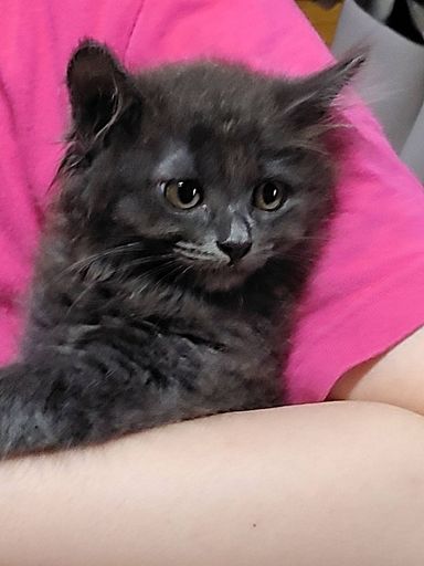ララちゃんの写真