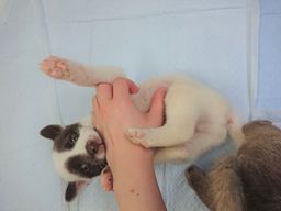 thumb-3