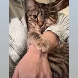 thumb-6