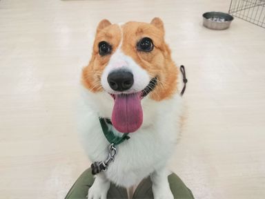 あさひ