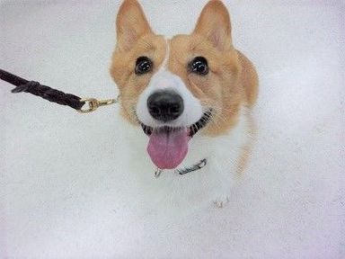 あさひ