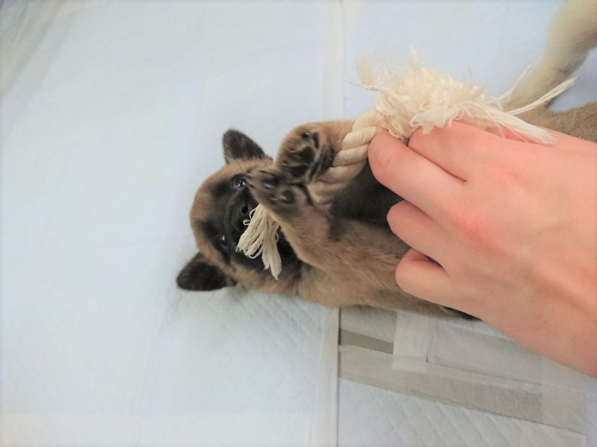 thumbnail-4