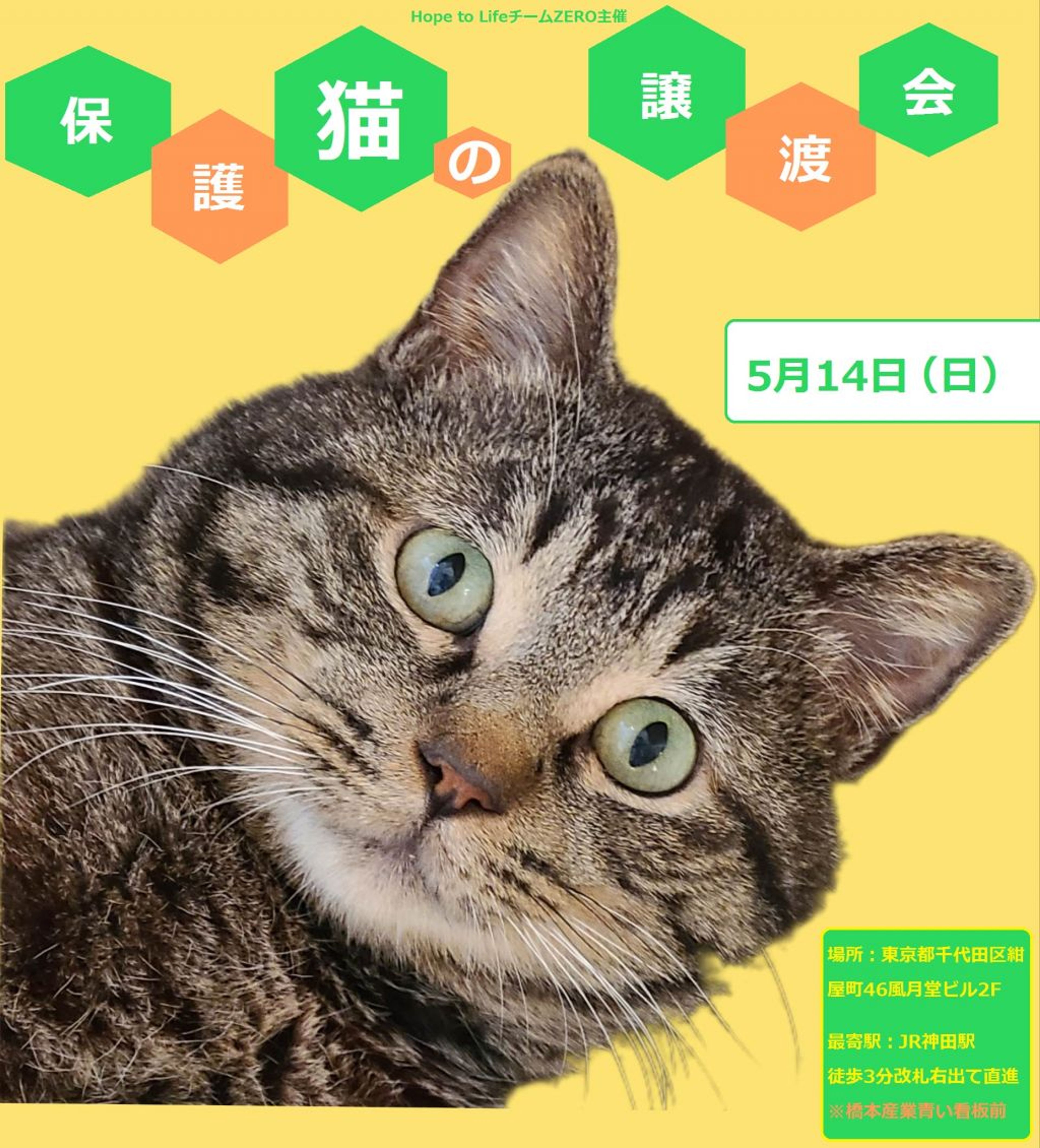 pet-image-2