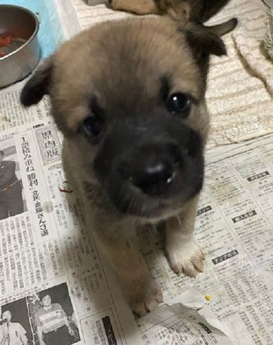 ラッキーくんの写真