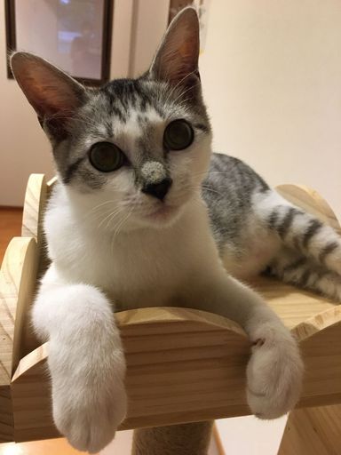 ジローの写真
