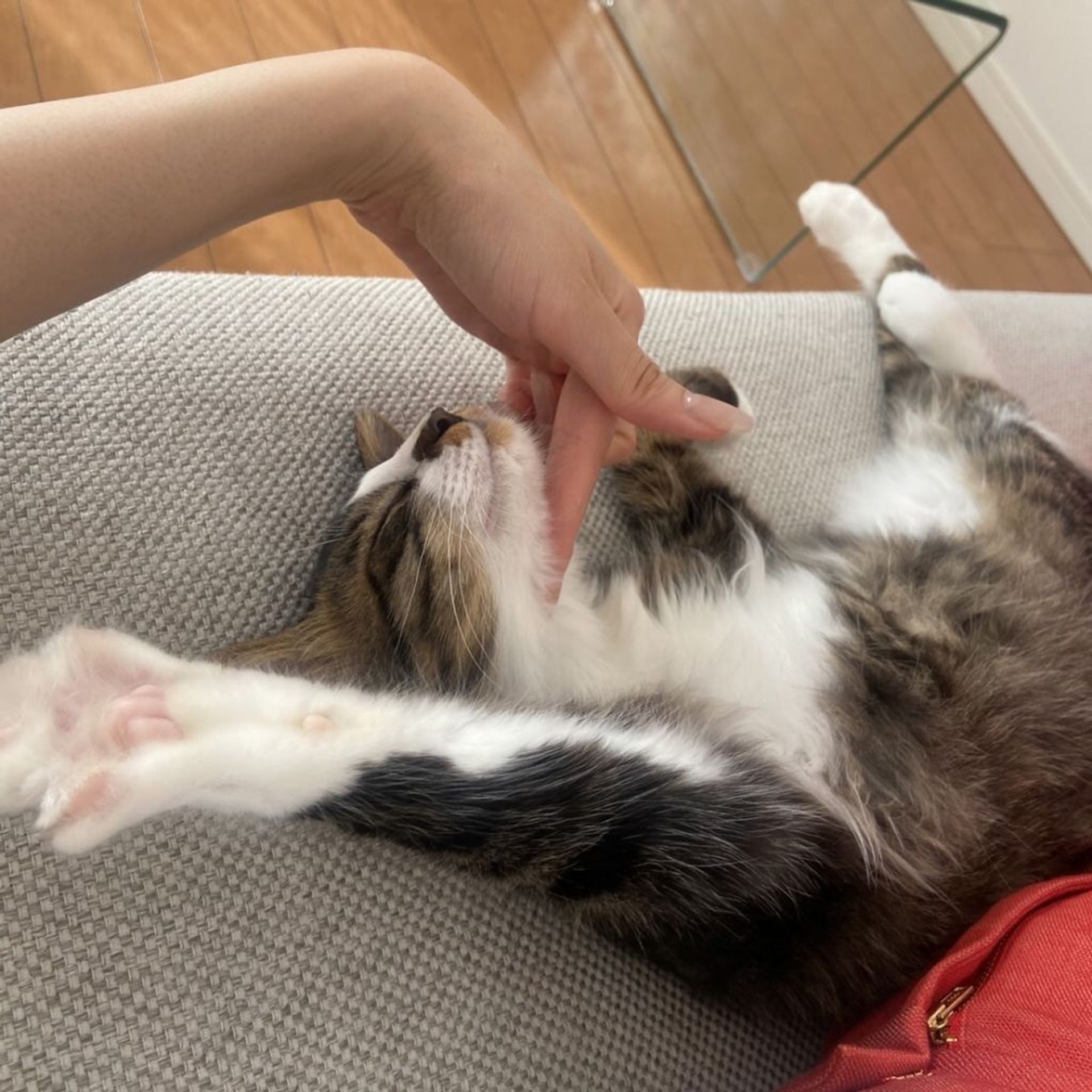 thumbnail-10