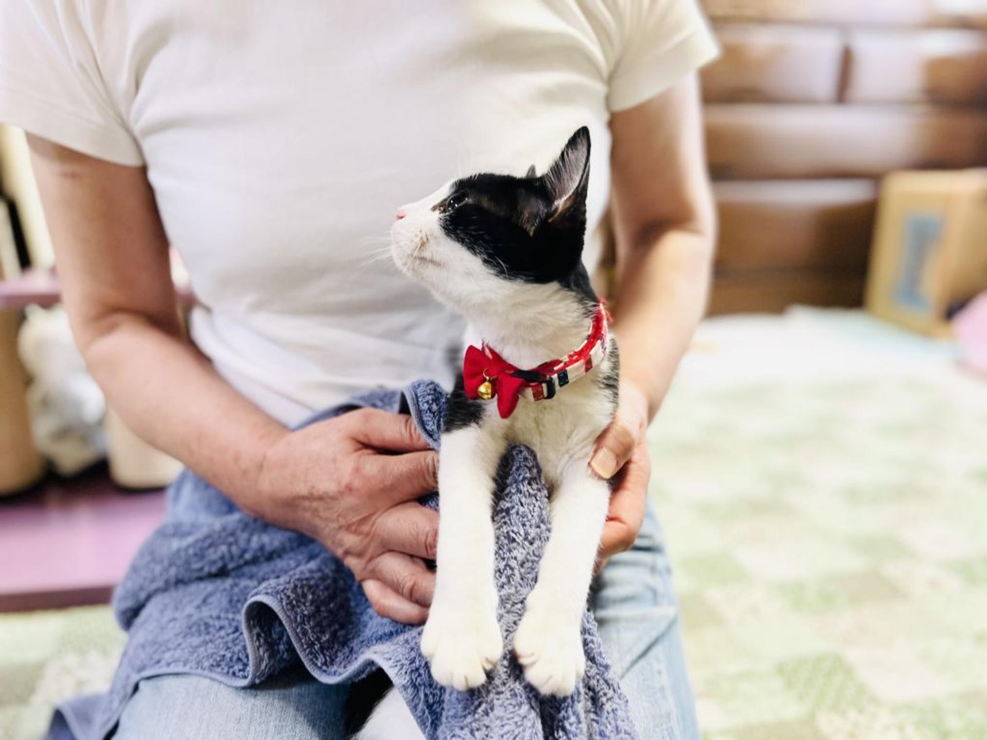 pet-image-5