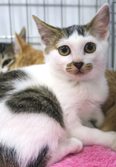 名無しちゃんの写真