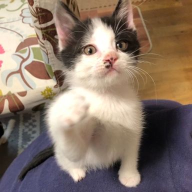 名無しちゃんの写真