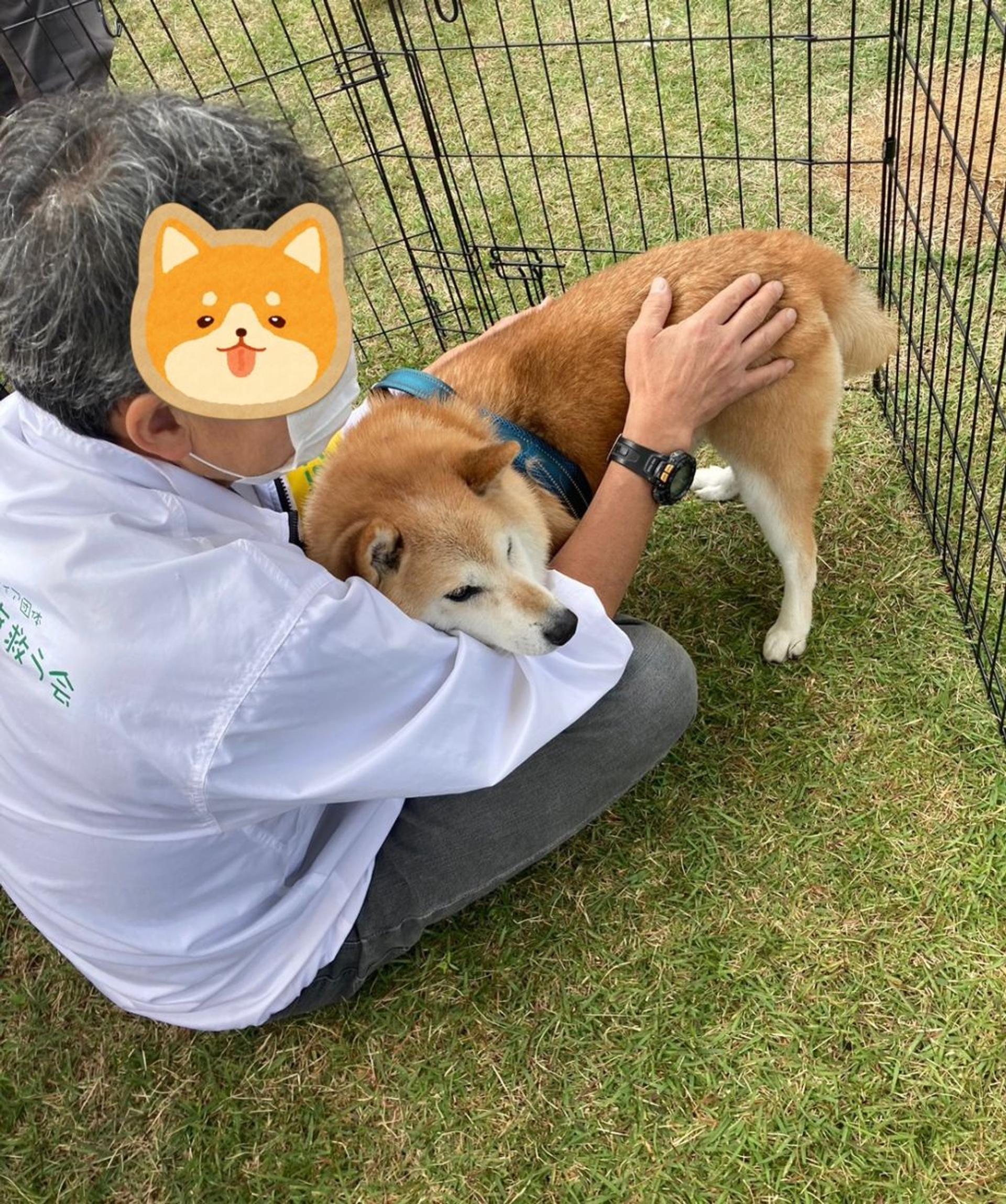 pet-image-3