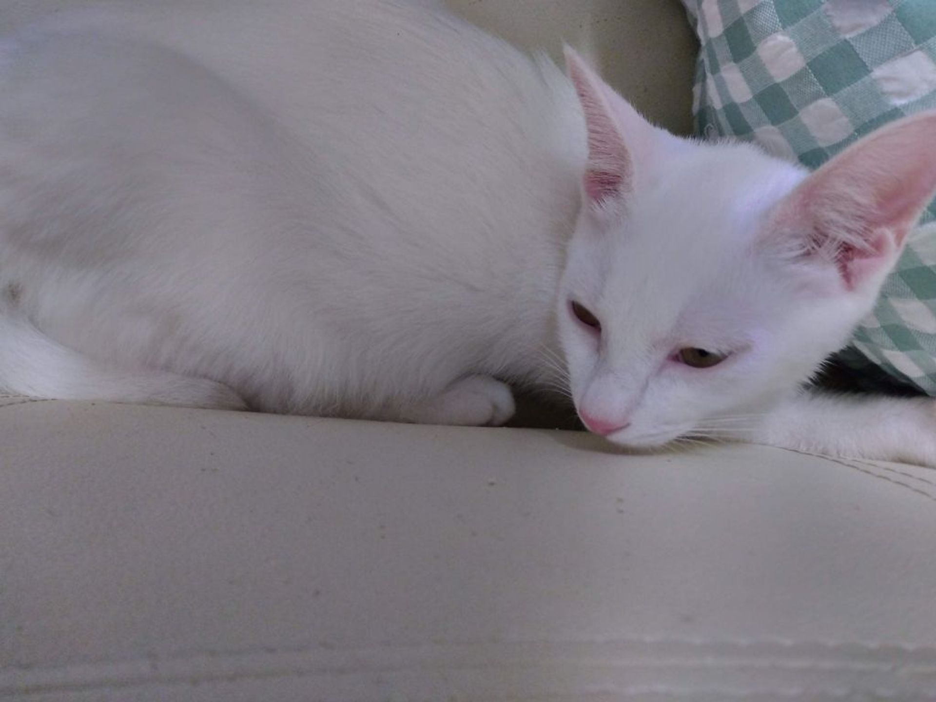 thumbnail-5