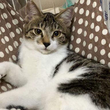 名無しちゃんの写真