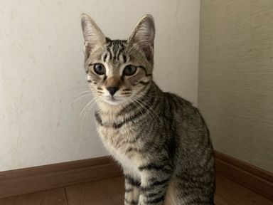 ミナちゃんの写真