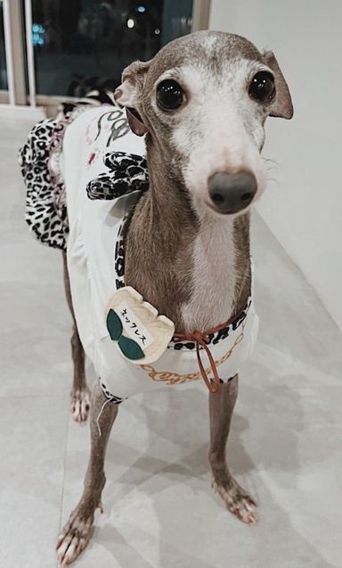 ネックレスの写真